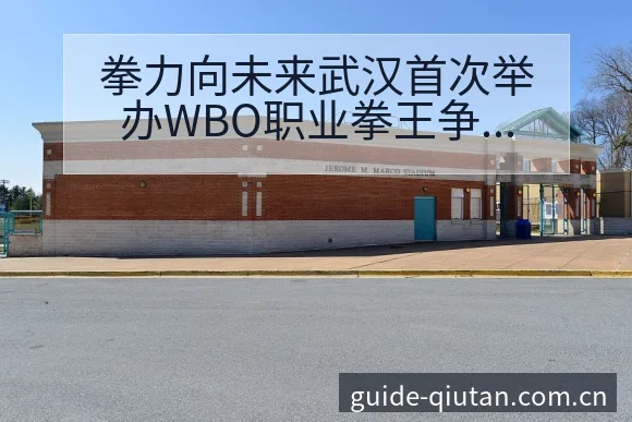 拳力向未来武汉首次举办WBO职业拳王争议焦点与舆论观察风 - 球探比分