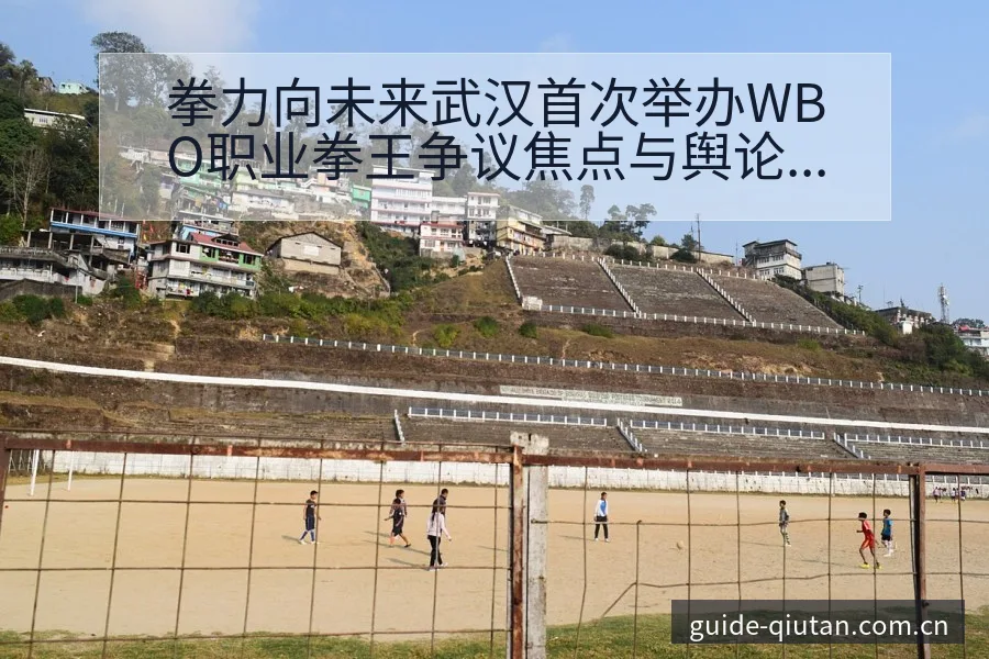 拳力向未来武汉首次举办WBO职业拳王争议焦点与舆论观察风 - 球探比分